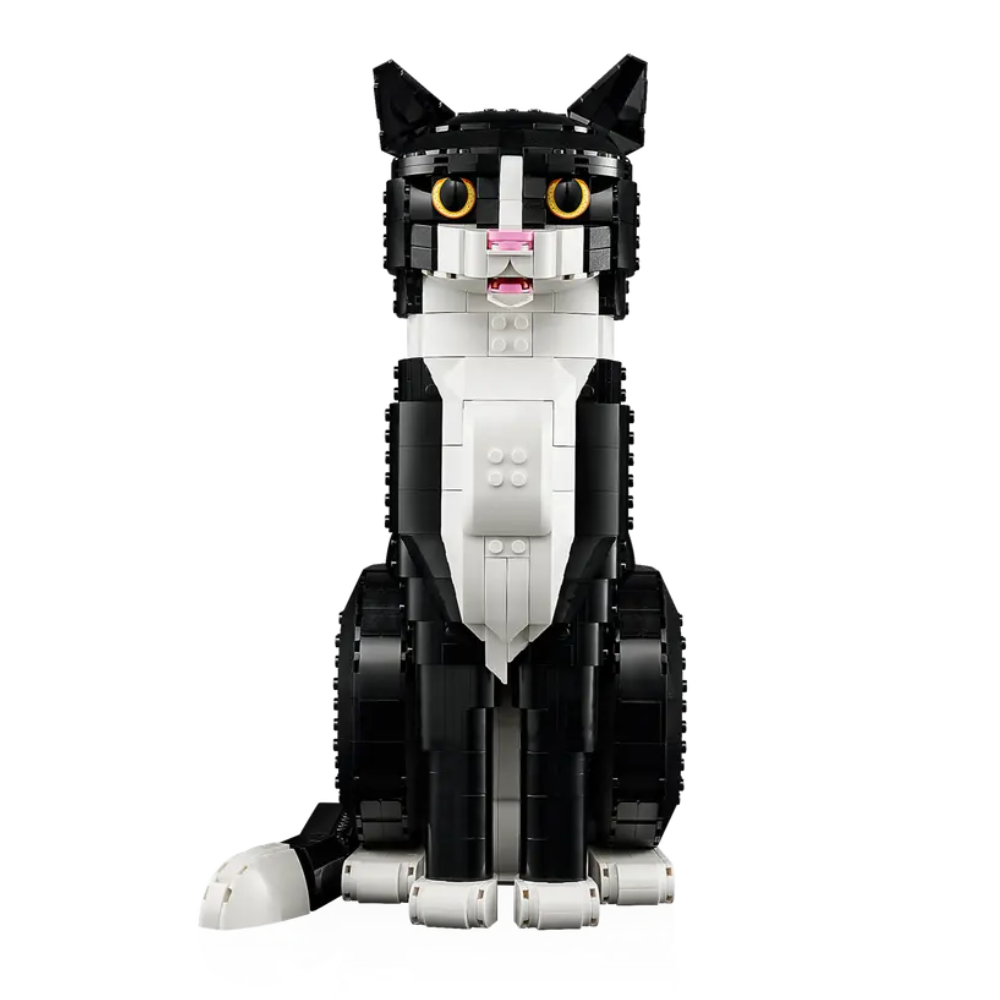 Gato Bicolor