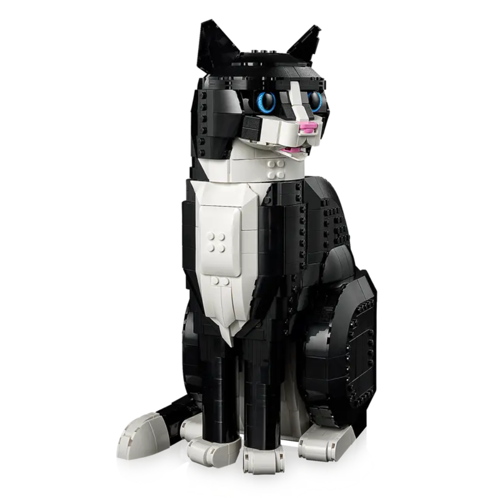 Gato Bicolor