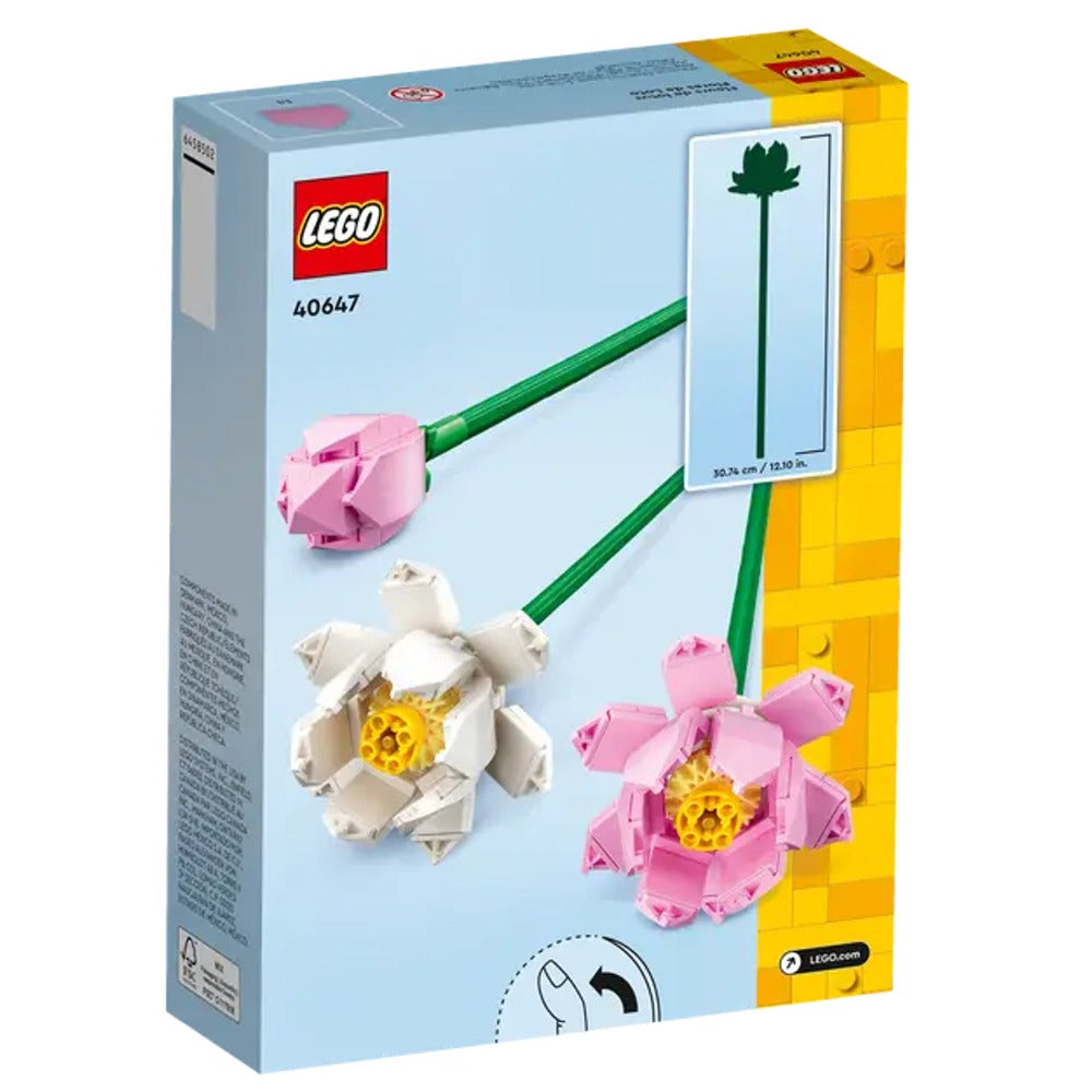Flores de Loto