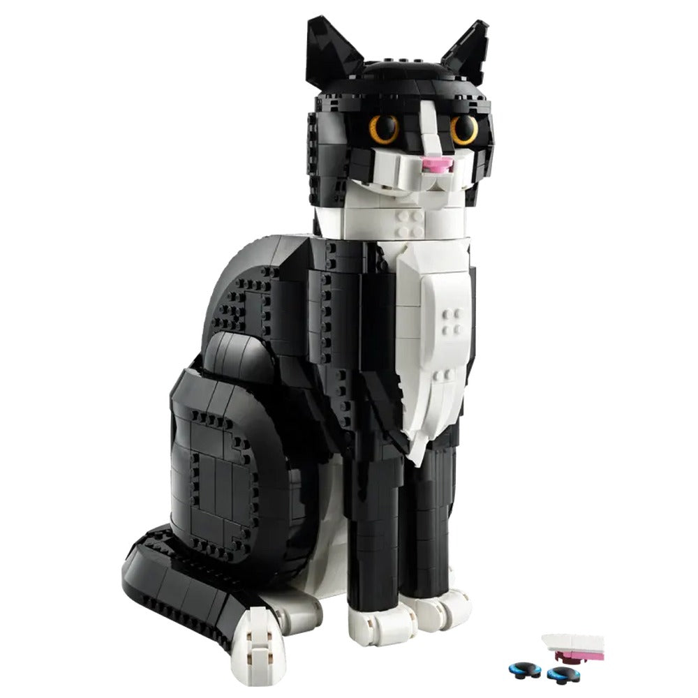 Gato Bicolor