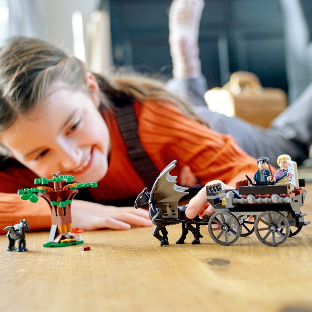 Carruaje y Thestrals de Hogwarts™