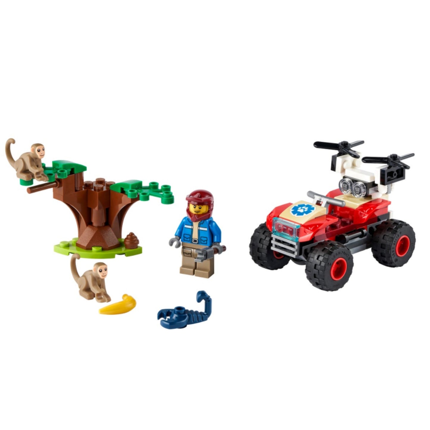 Rescate de la Fauna Salvaje: Quad