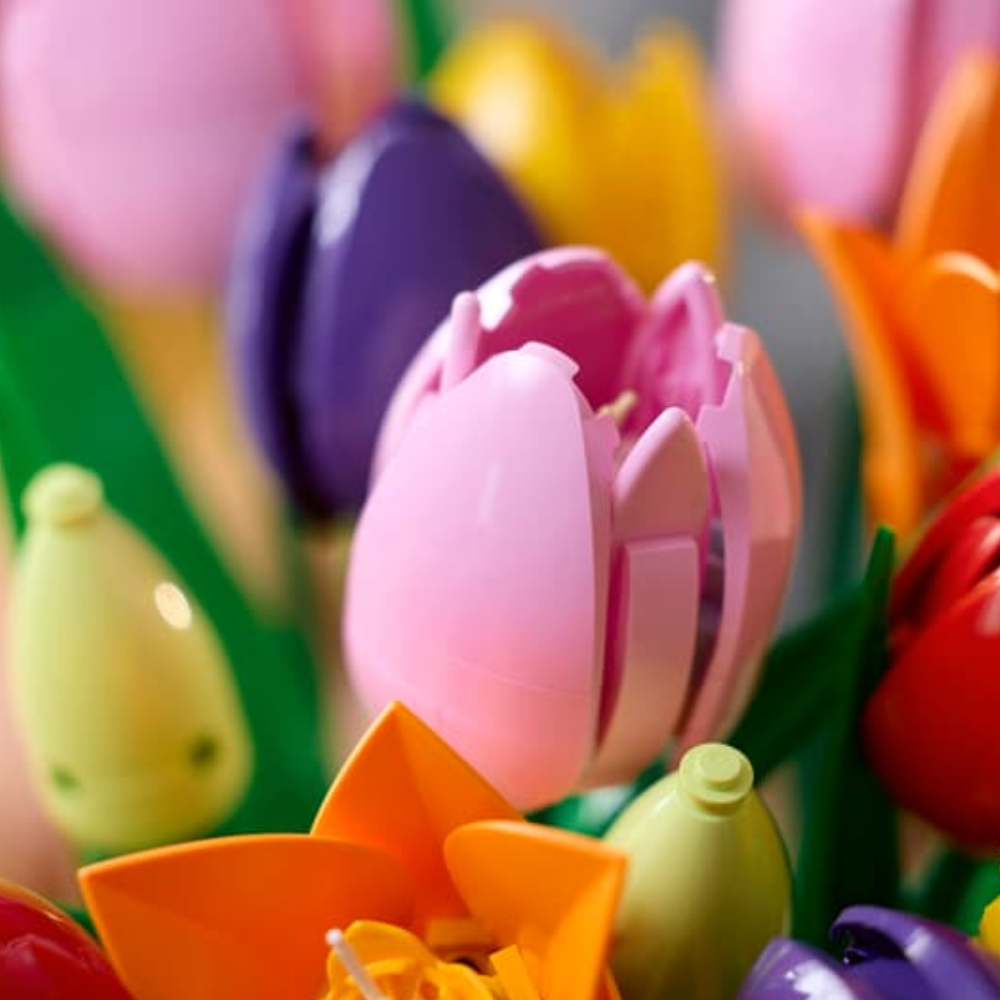 Ramo de Tulipanes