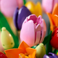 Ramo de Tulipanes