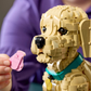 Cachorro de Golden Retriever