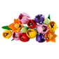 Ramo de Tulipanes
