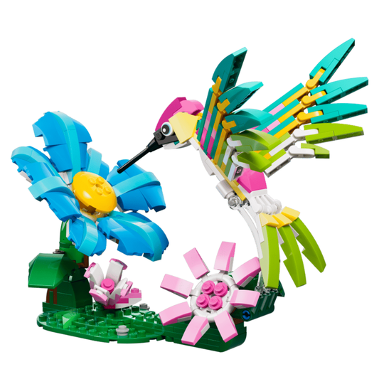 Fauna Salvaje: Colibrí de Colores