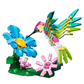 Fauna Salvaje: Colibrí de Colores