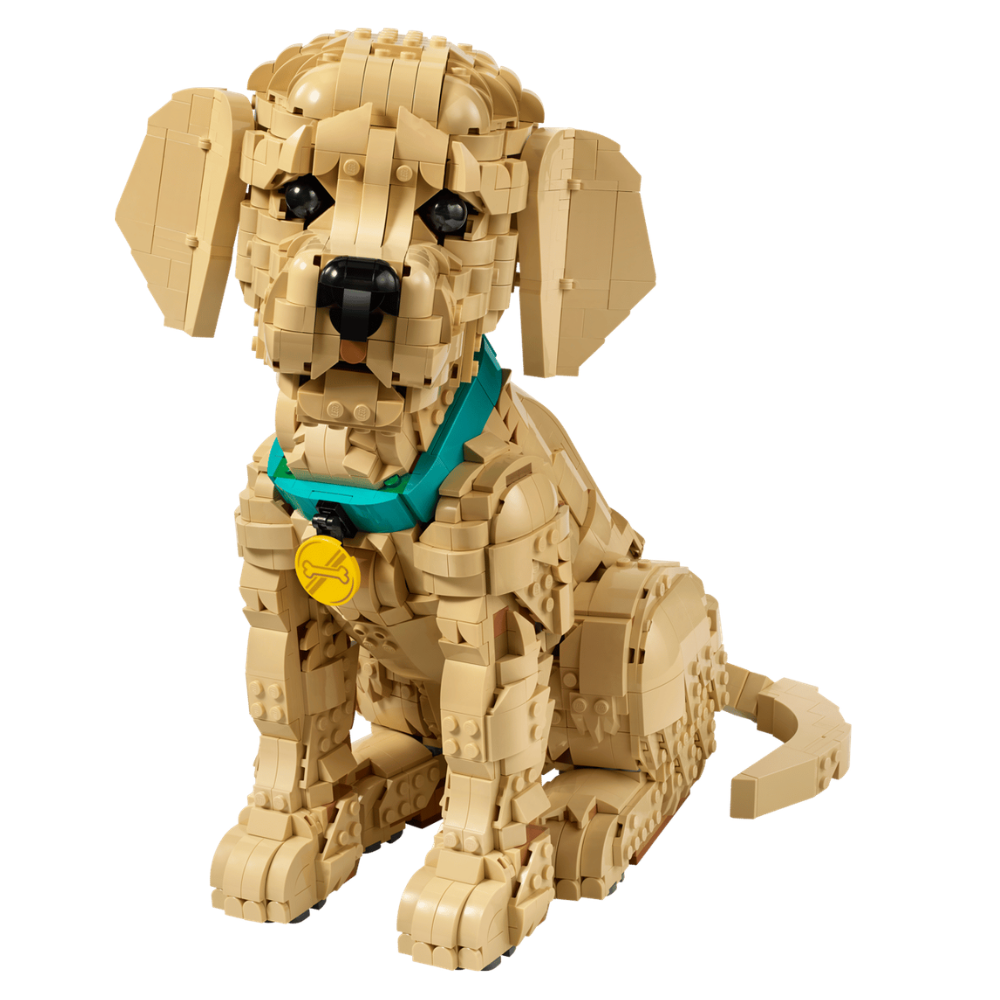 Cachorro de Golden Retriever
