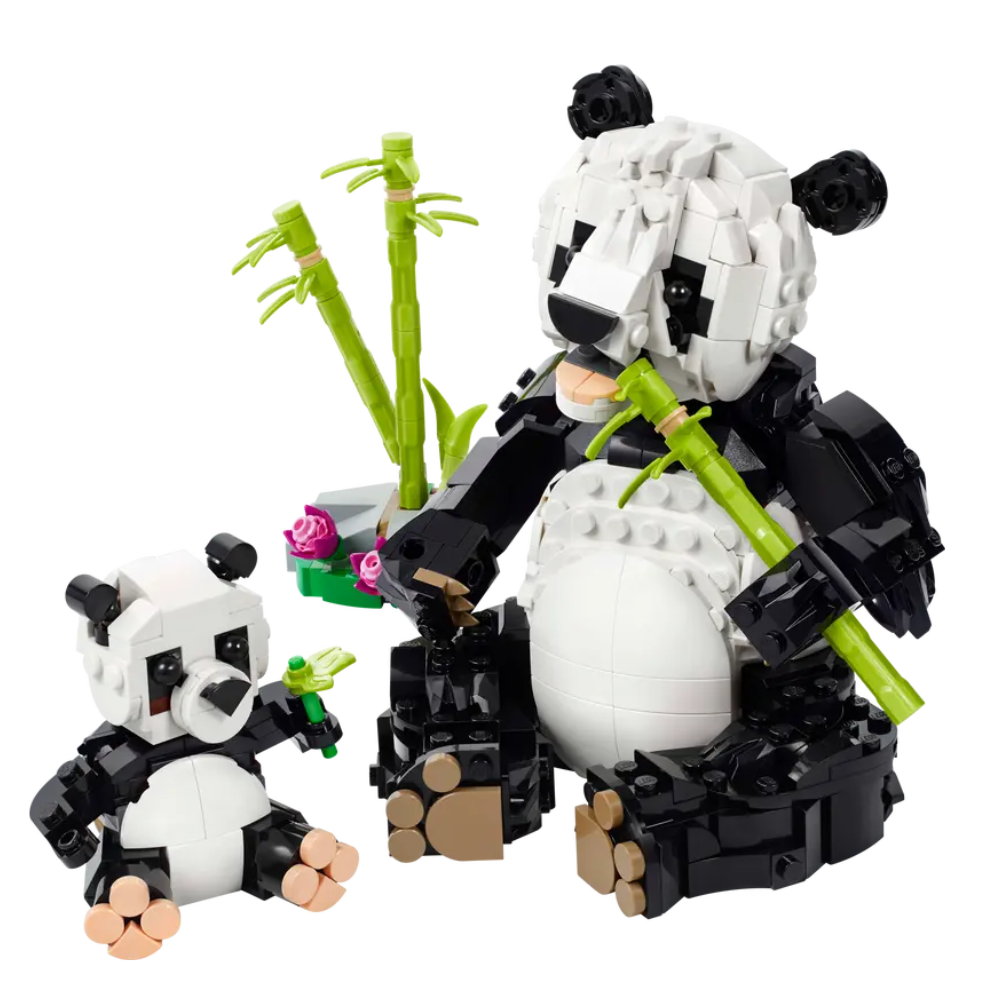 Fauna Salvaje: Familia de Pandas