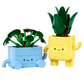 Plantas Felices