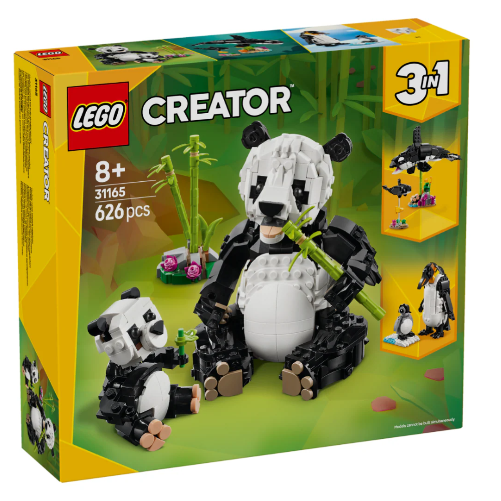 Fauna Salvaje: Familia de Pandas