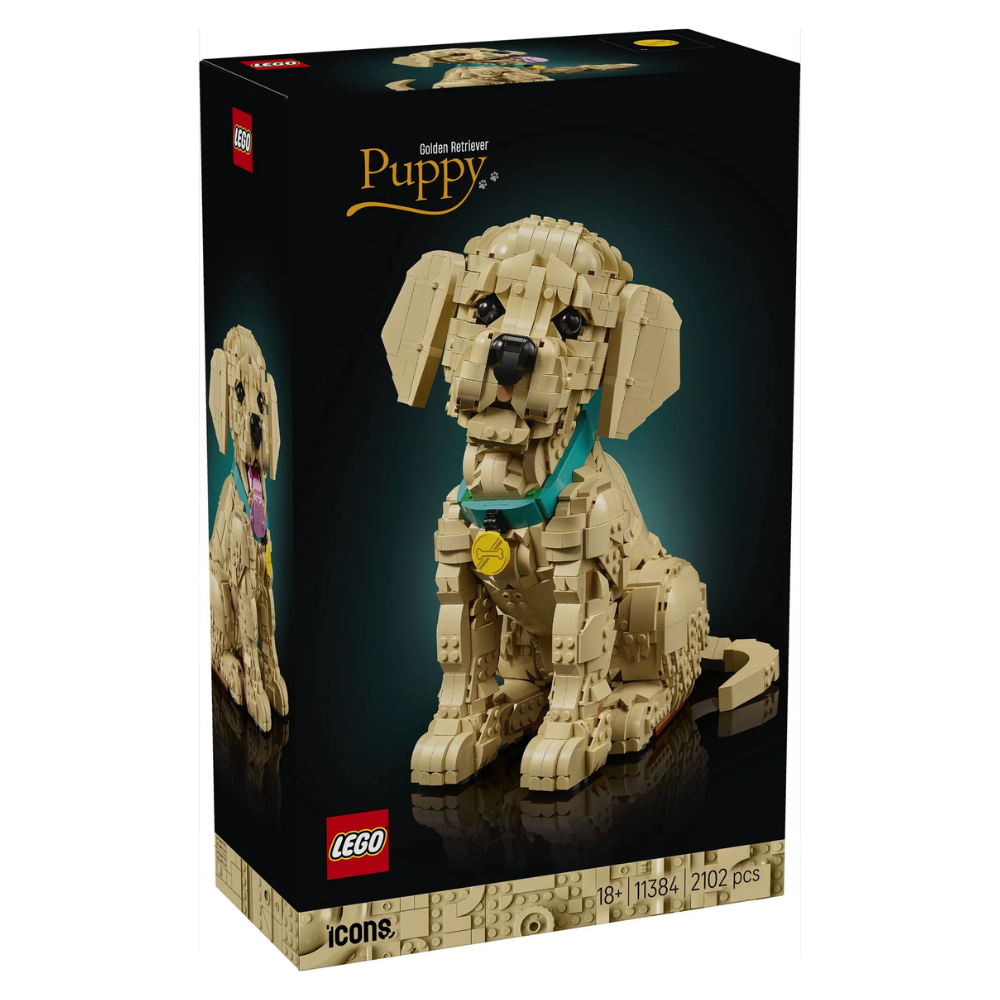 Cachorro de Golden Retriever