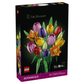 Ramo de Tulipanes