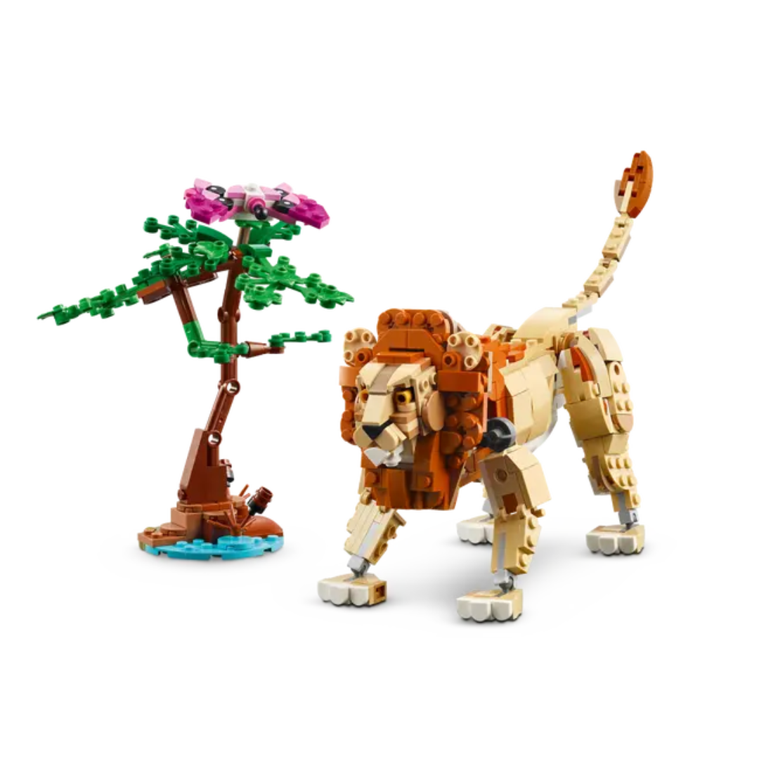 Safari de Animales Salvajes