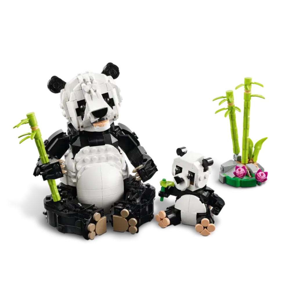 Fauna Salvaje: Familia de Pandas