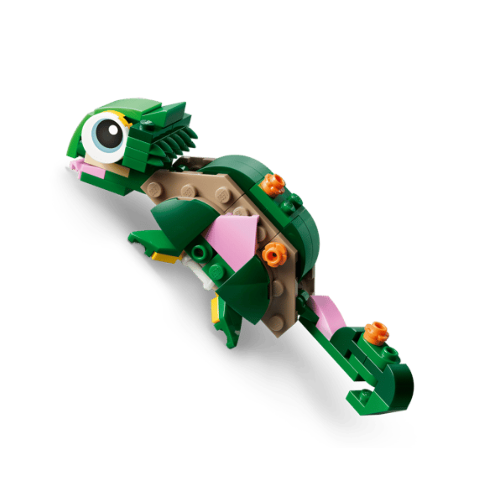 Tortuga con Flor de Nenúfar