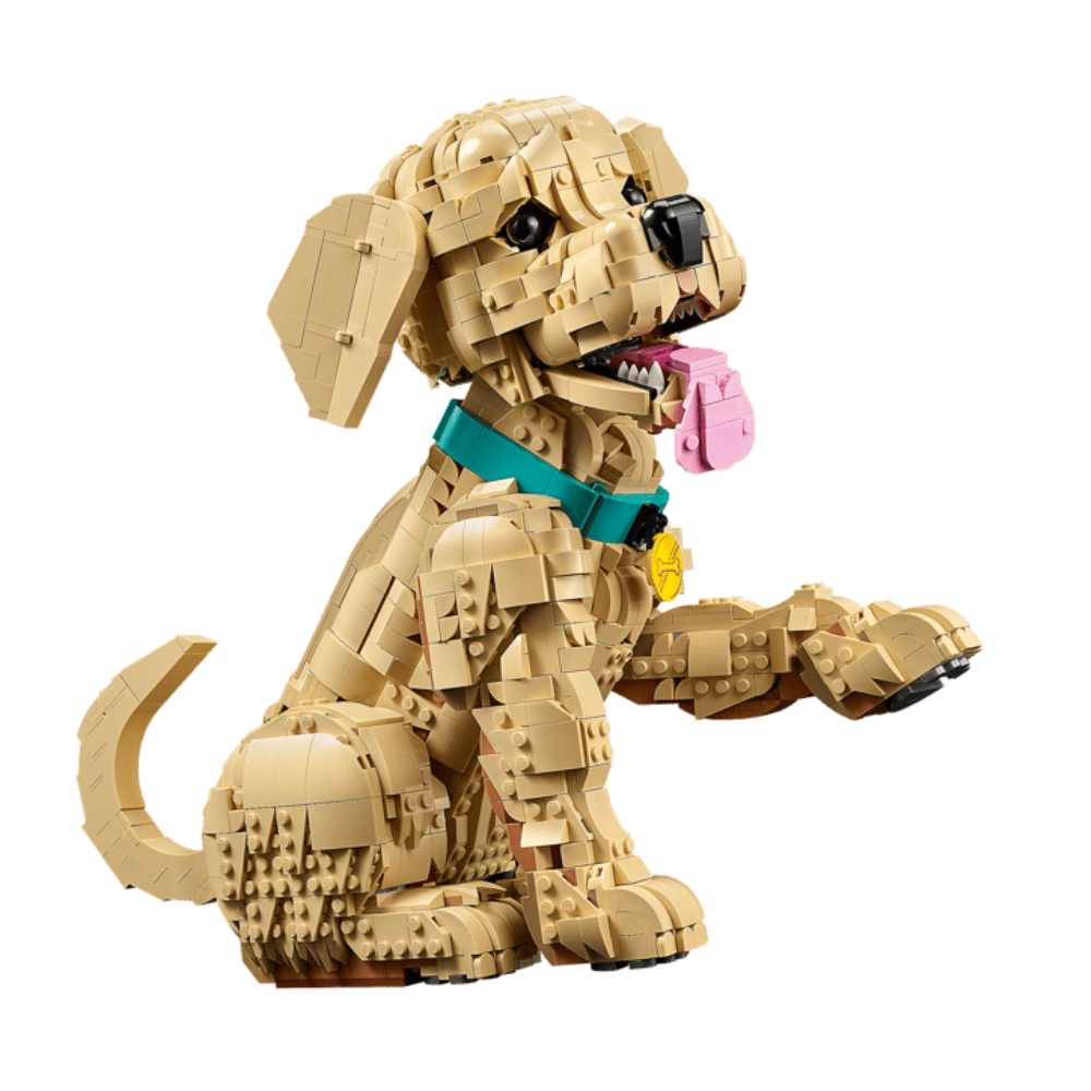 Cachorro de Golden Retriever