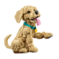 Cachorro de Golden Retriever