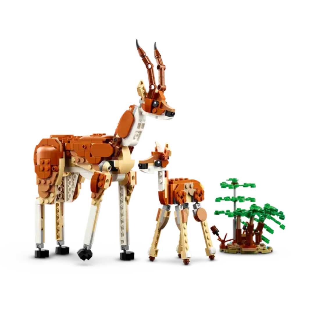 Safari de Animales Salvajes