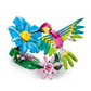 Fauna Salvaje: Colibrí de Colores