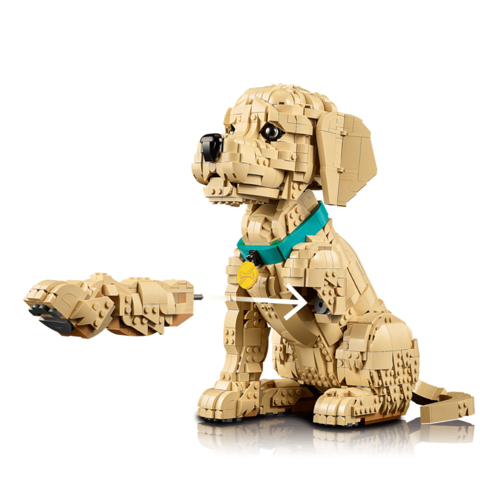 Cachorro de Golden Retriever