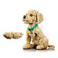 Cachorro de Golden Retriever