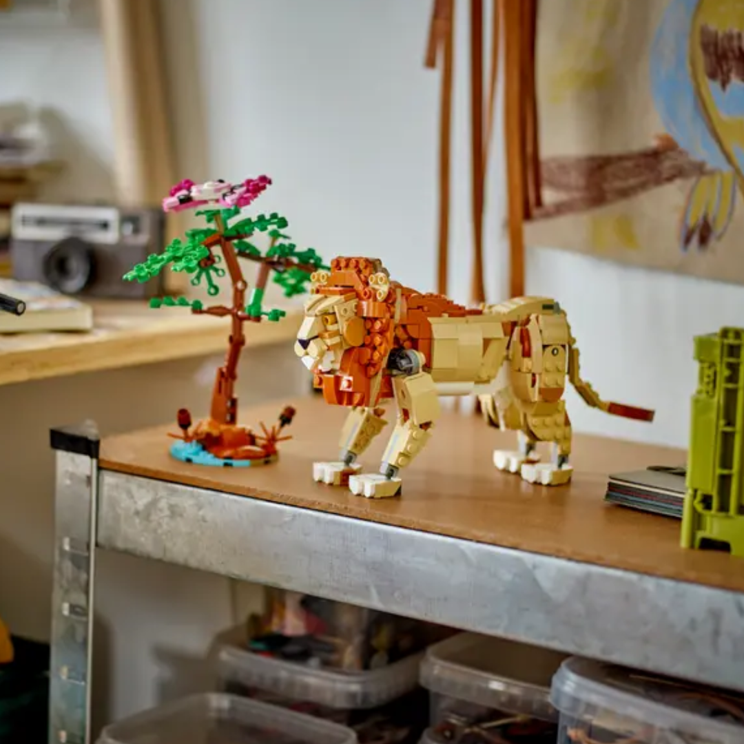 Safari de Animales Salvajes