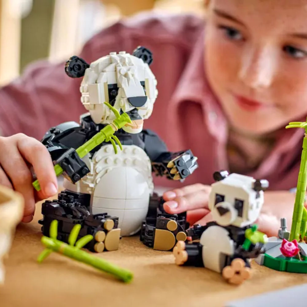 Fauna Salvaje: Familia de Pandas