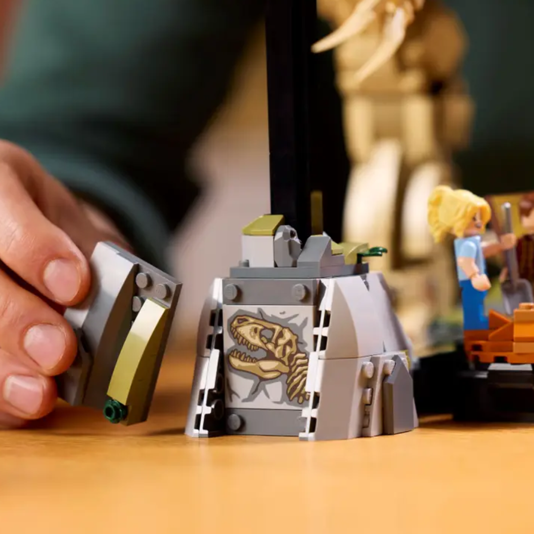 Fósiles de Dinosaurio: Tyrannosaurus rex