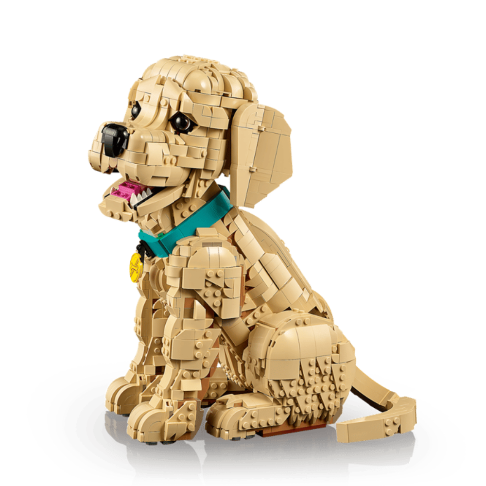 Cachorro de Golden Retriever