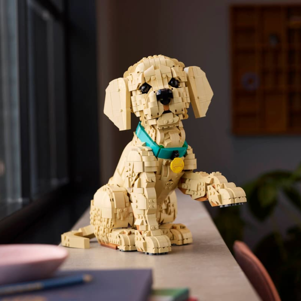 Cachorro de Golden Retriever