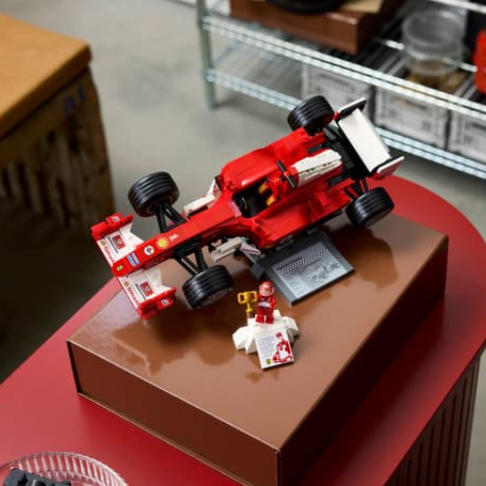 Ferrari F2004 & Michael Schumacher