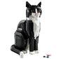 Gato Bicolor